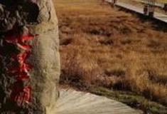 承德围场七星湖公园怎么玩？附游玩路线