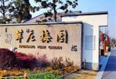 上海莘庄梅园怎么玩？附游玩路线