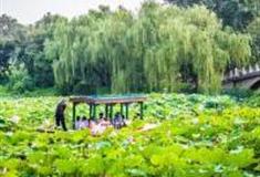 北京紫竹院公园怎么玩？附游玩路线