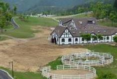 杭州千岛湖马术公园怎么玩？附游玩路线