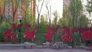 北京北极寺公园怎么玩？附游玩路线