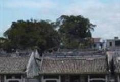 珠海唐家湾古镇怎么玩？附游玩路线