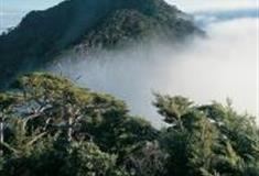 高雄北大武山国家步道怎么玩？附游玩路线