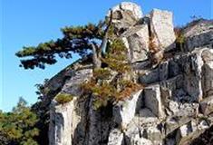 白马尖：崩塌堆积