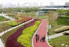 上海前滩友城公园怎么玩？附游玩路线