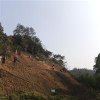 李小龙乐园18257