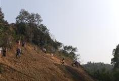 李小龙乐园：丛林探秘