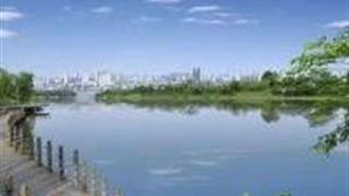 成都泥巴沱森林公园怎么玩？附游玩路线