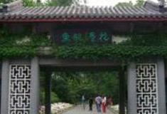 杭州西湖花港观鱼怎么玩？附游玩路线