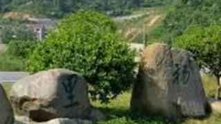 杭州七里扬帆景区怎么玩？附游玩路线