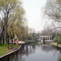 上海共青国家森林公园水乡映秀