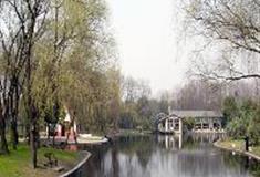 上海共青国家森林公园：水乡映秀