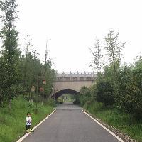 长沙洋湖湿地公园18303