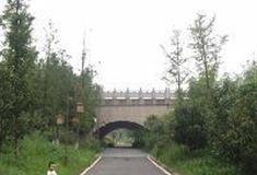 长沙洋湖湿地公园：分界桥