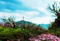 杭州阳山畈村落景区怎么玩？附游玩路线