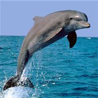 长沙生态动物园19201