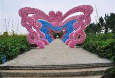 广州百万葵园怎么玩？附游玩路线