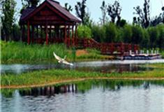 苏州太湖国家湿地公园怎么玩？附游玩路线