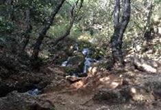 拉市海湿地公园：瀑布群