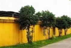 上海嘉定华藏禅寺怎么玩？附游玩路线