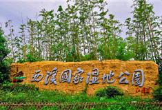 杭州西溪国家湿地公园怎么玩？附游玩路线