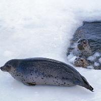 江苏张家港梦幻海洋王国19682