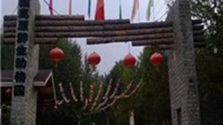 西宁青藏高原野生动物园怎么玩?附游玩路线 西宁青藏高原野生动物园怎么玩?附游玩路线