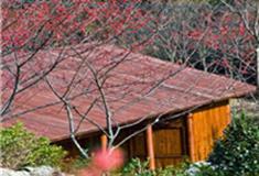 福州快乐园怎么玩？附游玩路线