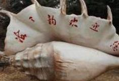 大连海之韵公园怎么玩？附游玩路线