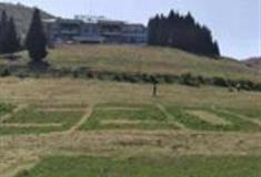 重庆歧山草原景区怎么玩？附游玩路线