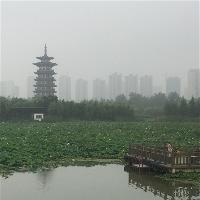 长沙洋湖湿地公园18305