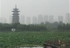 长沙洋湖湿地公园：观荷区