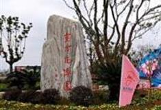 苏州东方花博园怎么玩？附游玩路线