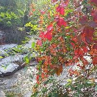 北京奥林匹克公园10256