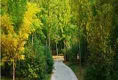 珠海石花山公园怎么玩？附游玩路线