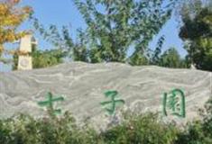 邯郸七子园怎么玩？附游玩路线