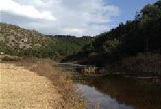 拉市海湿地公园：七仙湖