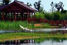 苏州太湖国家湿地公园：祭鱼亭