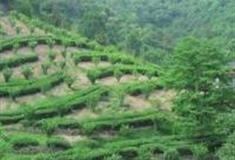 绍兴陈村村怎么玩？附游玩路线