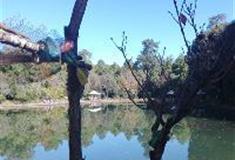 文峰寺：桑纳迦湖