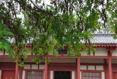 孙子兵法城：笑里藏刀