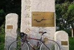 北京妫河森林公园怎么玩？附游玩路线