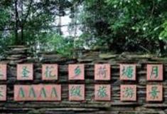 成都三圣花乡旅游区怎么玩？附游玩路线