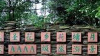 成都三圣花乡旅游区怎么玩？附游玩路线