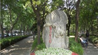 上海徐家汇公园怎么玩?附游玩路线 上海徐家汇公园怎么玩?附游玩路线