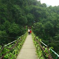 天籁·蝴蝶泉17971