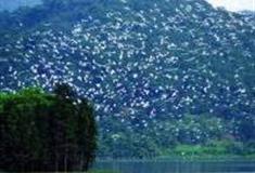 佛山白鹭湖生态保护区怎么玩？附游玩路线