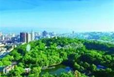 宜昌市儿童公园怎么玩？附游玩路线