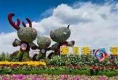 北京世界月季主题园怎么玩？附游玩路线