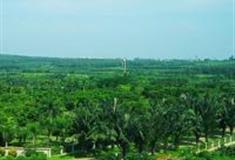 高雄大坪顶热带植物园怎么玩？附游玩路线